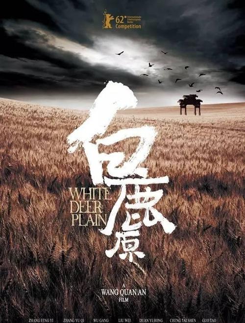 不要求学历可以考哪些证书